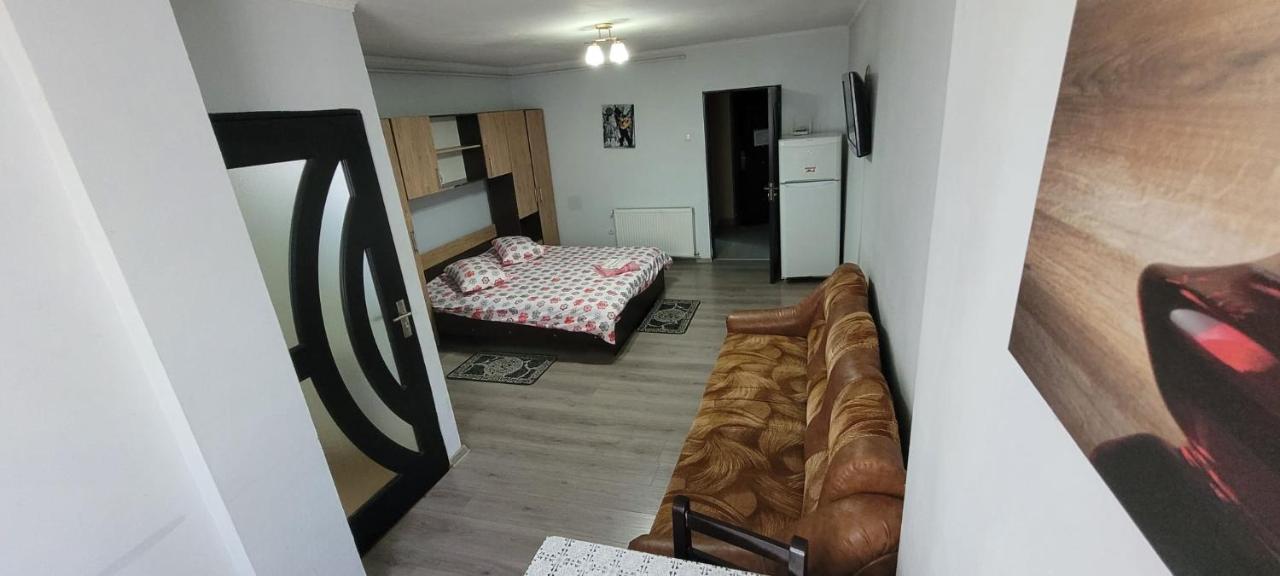 Апартаменти Flora Apartament Сату-Маре Екстер'єр фото